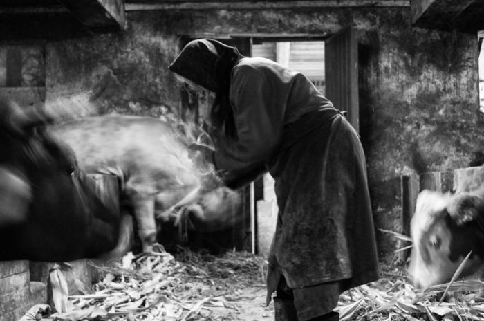 A Day In The Life Of An 83-Year-Old Grandma On The Farm (39 pics)