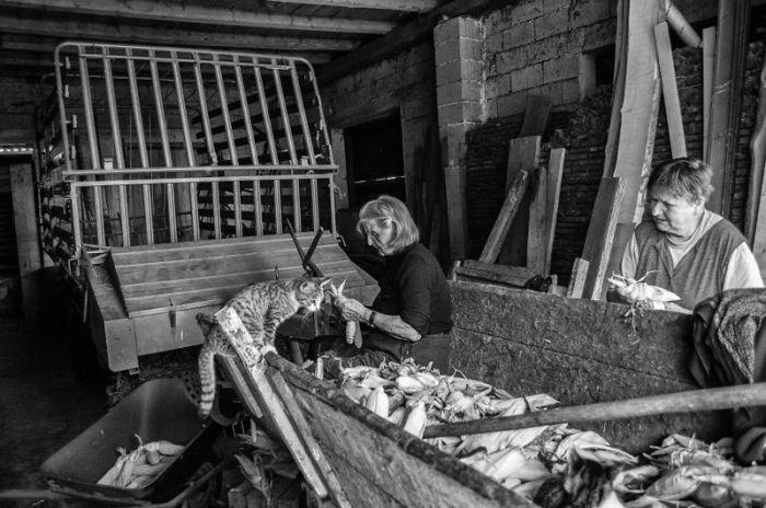 A Day In The Life Of An 83-Year-Old Grandma On The Farm (39 pics)