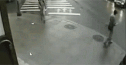 People Who Are Lucky To Be Alive After Staring Death In The Face (20 gifs)