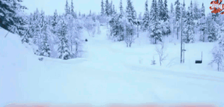 People Who Are Lucky To Be Alive After Staring Death In The Face (20 gifs)