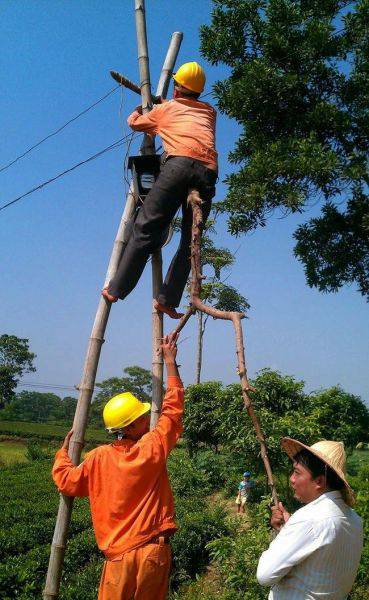 Acid Picdump (114 pics)