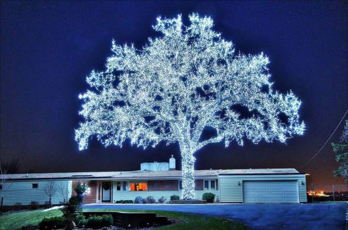 Acid Picdump (114 pics)