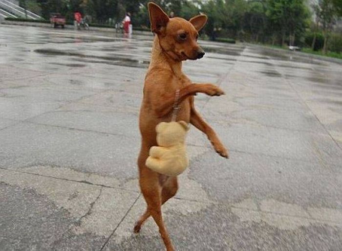 Acid Picdump (114 pics)