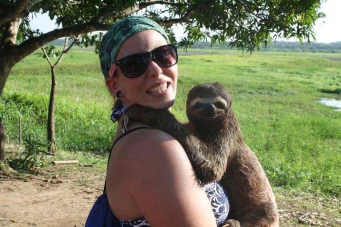 Acid Picdump (114 pics)