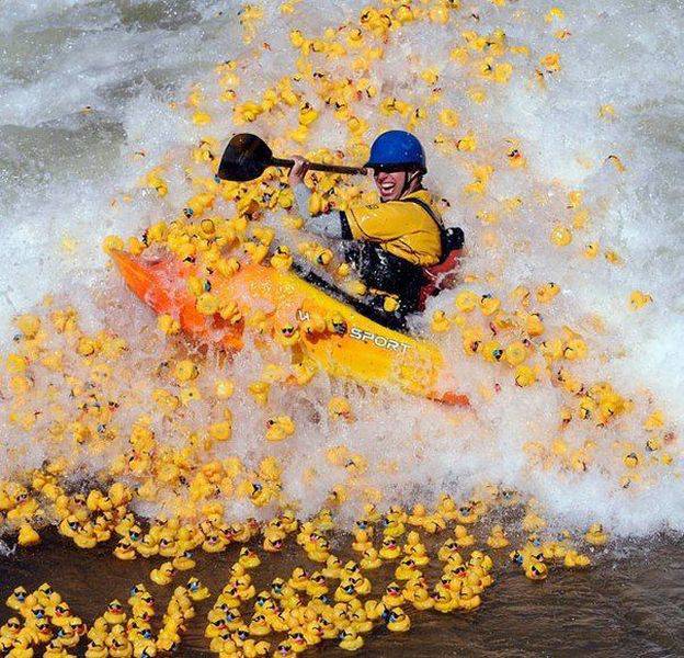 Acid Picdump (114 pics)