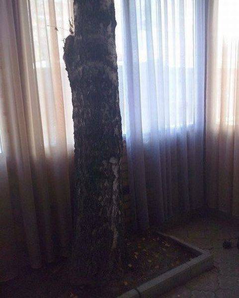 Acid Picdump (114 pics)