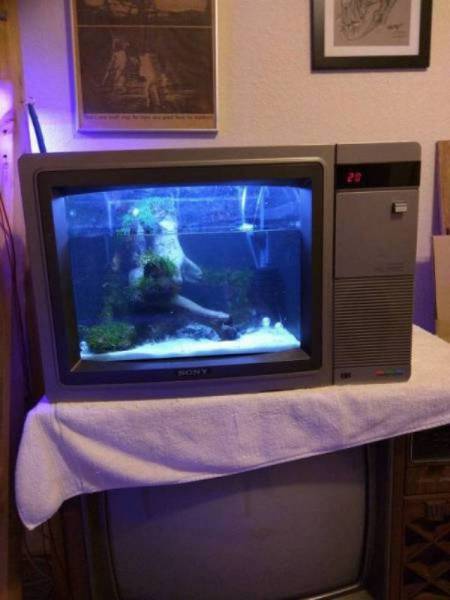 Acid Picdump (114 pics)