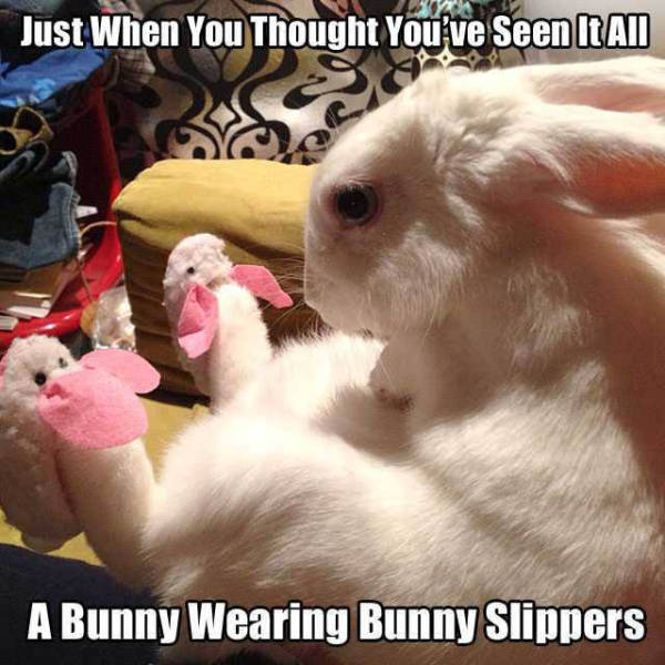 Acid Picdump (114 pics)