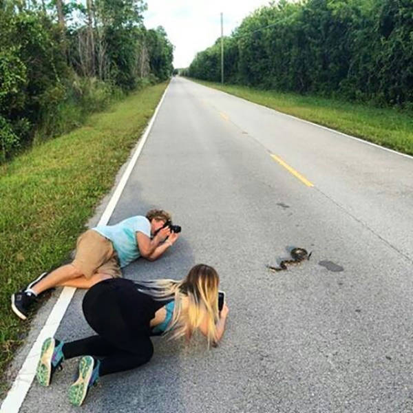 Acid Picdump (114 pics)