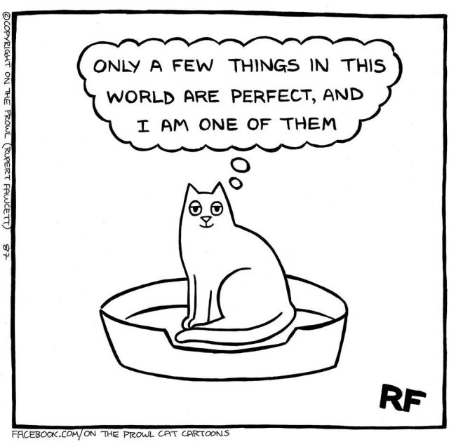 Cute Illustrations That All Cat Lovers Will Relate To (18 pics)