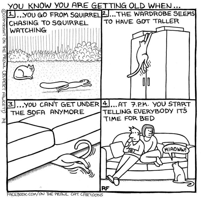 Cute Illustrations That All Cat Lovers Will Relate To (18 pics)