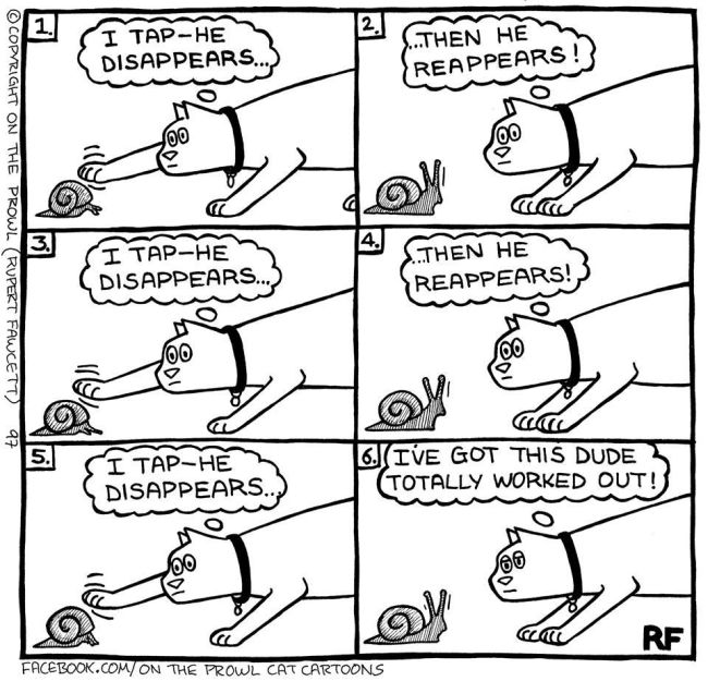 Cute Illustrations That All Cat Lovers Will Relate To (18 pics)