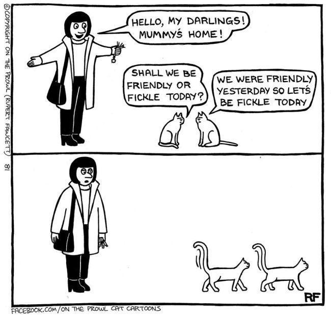 Cute Illustrations That All Cat Lovers Will Relate To (18 pics)