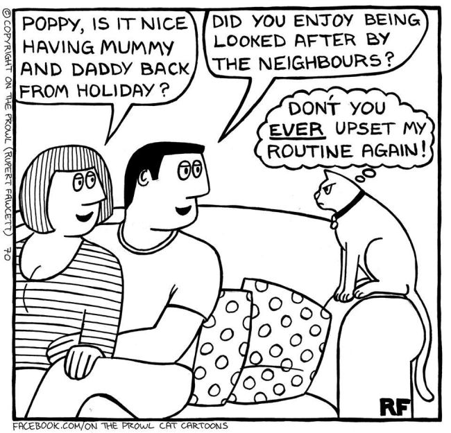 Cute Illustrations That All Cat Lovers Will Relate To (18 pics)