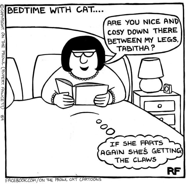 Cute Illustrations That All Cat Lovers Will Relate To (18 pics)