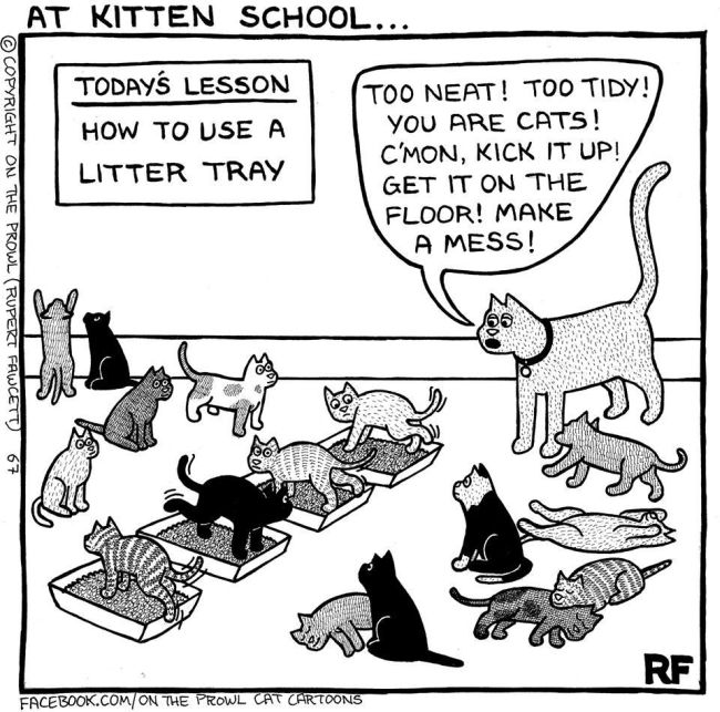 Cute Illustrations That All Cat Lovers Will Relate To (18 pics)