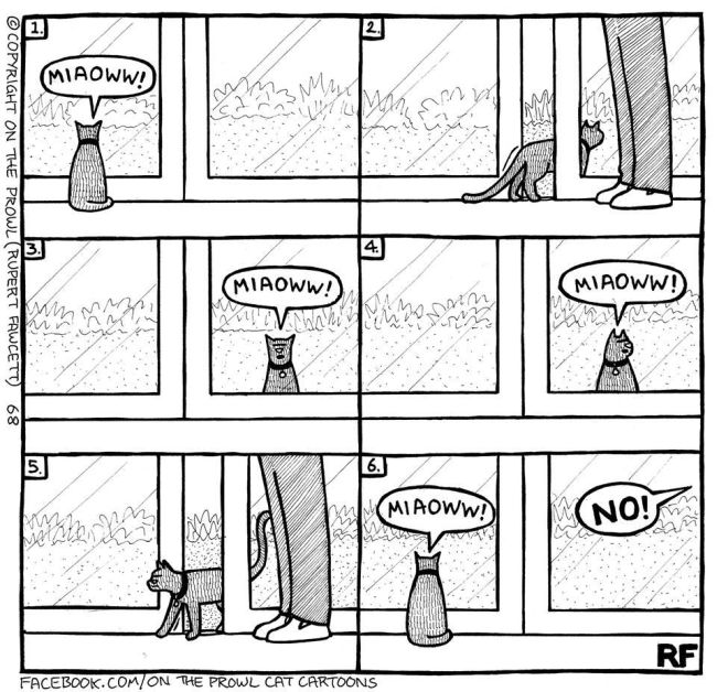 Cute Illustrations That All Cat Lovers Will Relate To (18 pics)