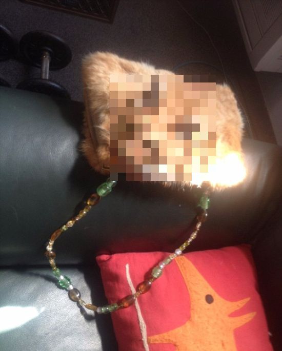 Deceased Cat Gets Turned Into A Handbag (3 pics)