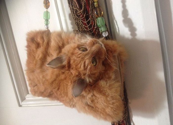 Deceased Cat Gets Turned Into A Handbag (3 pics)