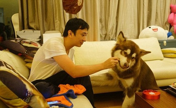 Son of China's Richest Man Buys 8 iPhones For His Dog (3 pics)