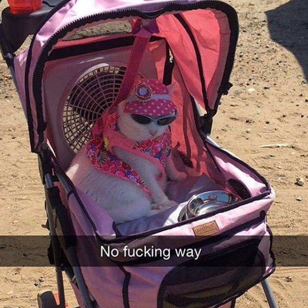 All Of This Awesomeness Just Can't Be Contained (48 pics)