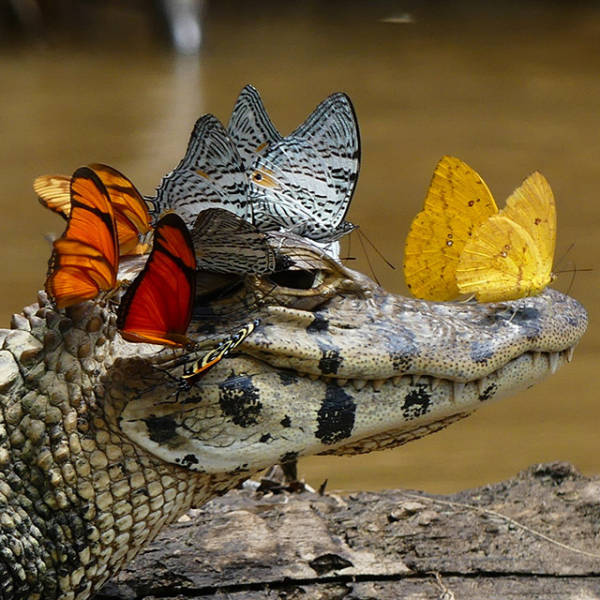All Of This Awesomeness Just Can't Be Contained (48 pics)