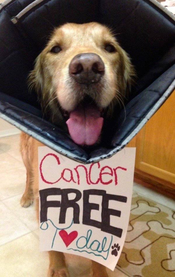 All Of This Awesomeness Just Can't Be Contained (48 pics)