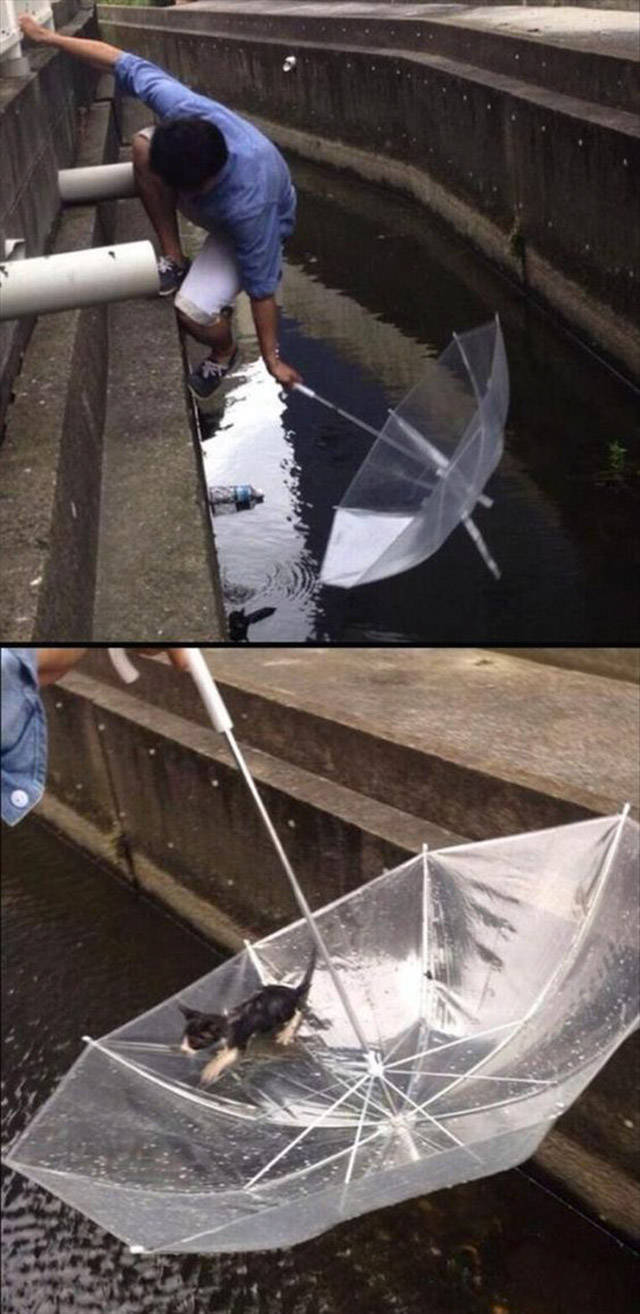 All Of This Awesomeness Just Can't Be Contained (48 pics)
