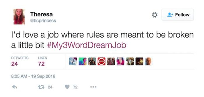 Twitter Users Share Their Dream Jobs Using Only Three Words (25 pics)