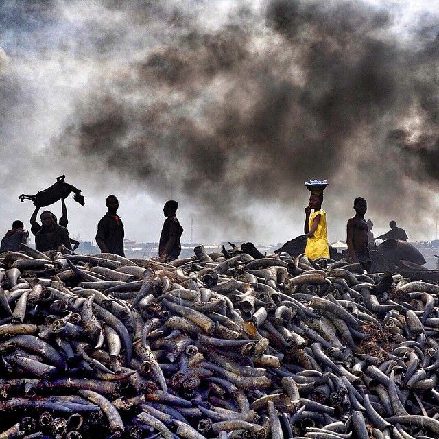 This Is Why You Need To Start Following National Geographic On Instagram (52 pics)