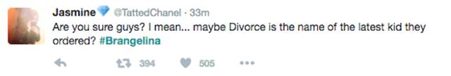 The Funniest Twitter Reactions To Angelina Jolie And Brad Pitt’s Divorce (25 pics)