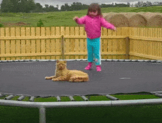 Acid Gifdump, September 23, 2016 (25 gifs)