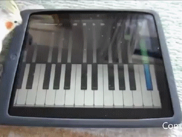 Acid Gifdump, September 23, 2016 (25 gifs)