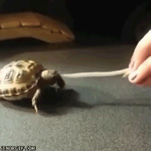 Acid Gifdump, September 23, 2016 (25 gifs)