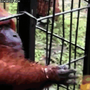 Acid Gifdump, September 23, 2016 (25 gifs)