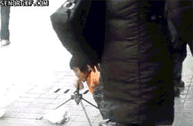 Acid Gifdump, September 23, 2016 (25 gifs)