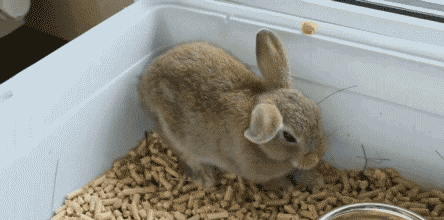 Acid Gifdump, September 23, 2016 (25 gifs)