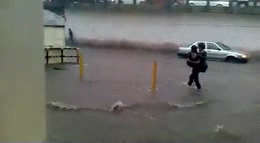 Acid Gifdump, September 23, 2016 (25 gifs)