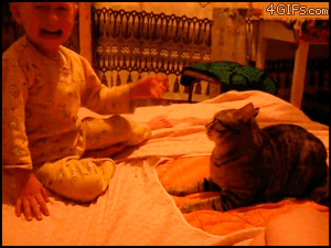 Stupid People Who Got A Swift Kick In The Face From Karma (19 gifs)