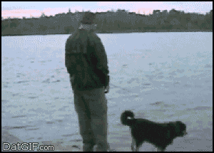 Stupid People Who Got A Swift Kick In The Face From Karma (19 gifs)
