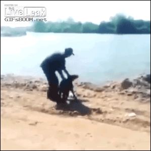 Stupid People Who Got A Swift Kick In The Face From Karma (19 gifs)