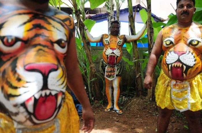 Thousands Gather To Do The Tiger Dance In The Streets Of India (12 pics)
