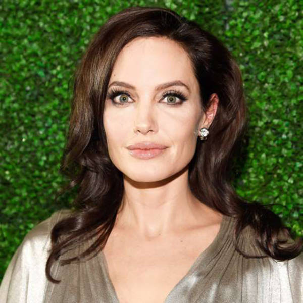 Looking Back At How Much Angelina Jolie Has Changed Through The Years (22 pics)