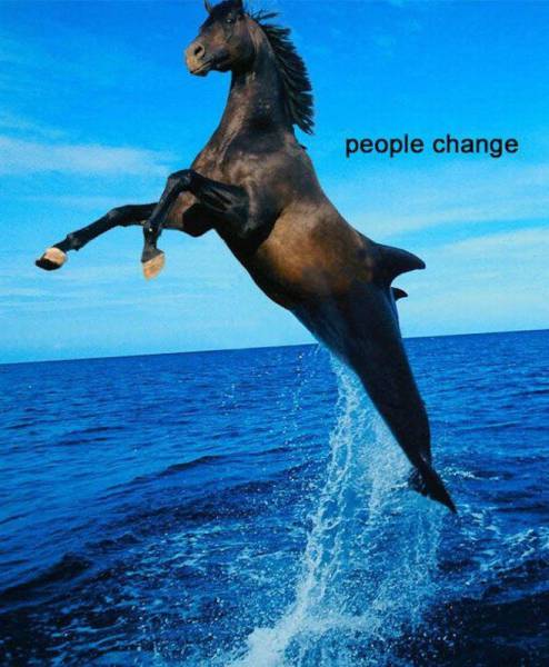 Acid Picdump (95 pics)