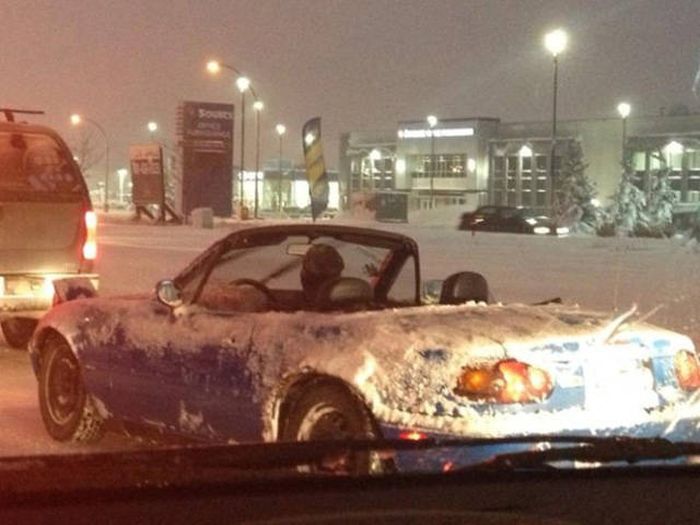 Crazy Things That Can Only Happen In Canada (43 pics)