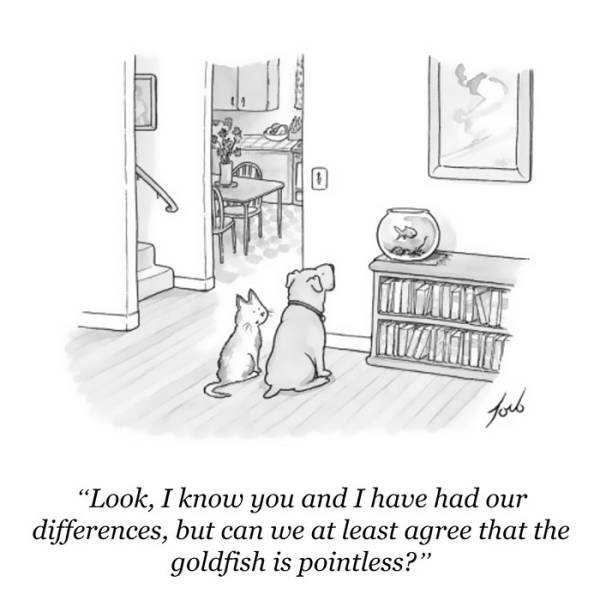 Funny Cartoons From The New Yorker That Will Definitely Crack You Up (50 pics)