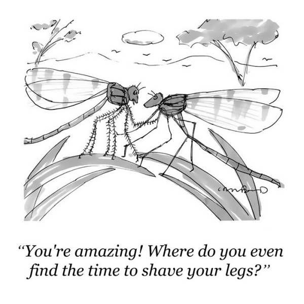 Funny Cartoons From The New Yorker That Will Definitely Crack You Up (50 pics)