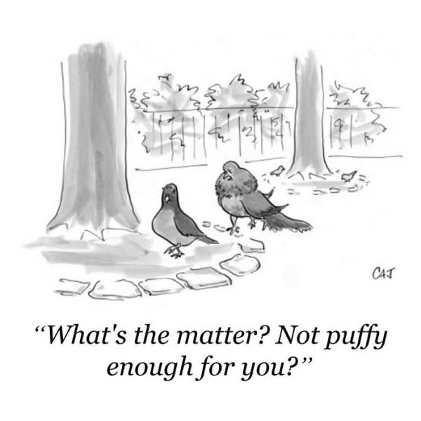 Funny Cartoons From The New Yorker That Will Definitely Crack You Up (50 pics)