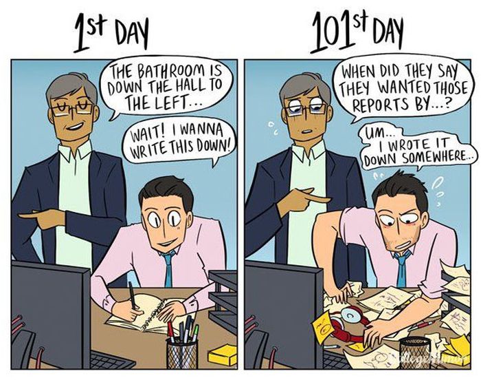 How Your Job Changes From The 1st Day To The 101st Day (6 pics)