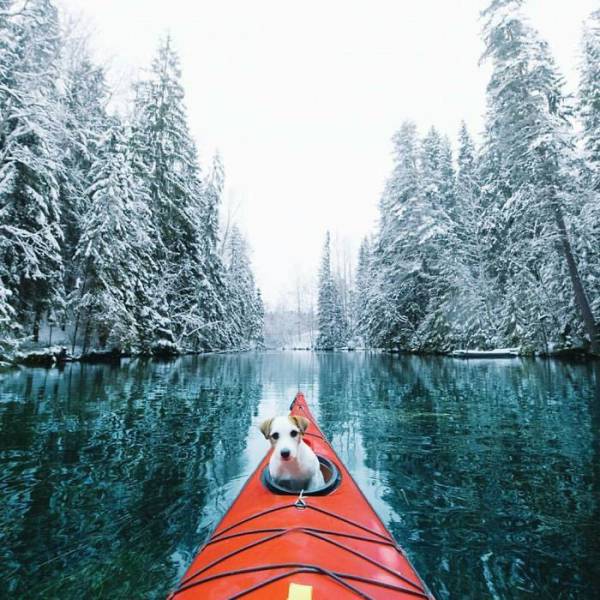 Instagram Photos That Will Motivate You To Go Seek Adventure (50 pics)